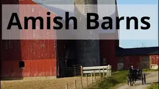 Amish Barns