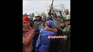 Я не забуду никогда! I will never forget! #EastTurkestan