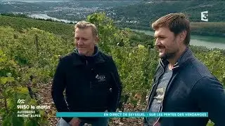 Le vignoble de Seyssuel, hier et aujourd'hui ....