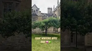 Isaac Newtons Apple Tree🧠🍏 #cambridge #isaacnewton #nature #music  #science #travel #unitedkingdom