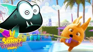 Catching Fish | SUNNY BUNNIES | Cartoons for Kids | WildBrain Zoo