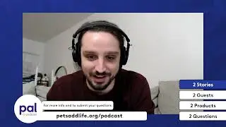 94. Истинная цена родительства в отношении домашних животных, обогащение среды обитания для каждо...