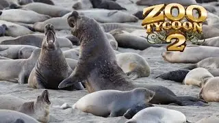 Zoo Tycoon 2: Elephant Seal Exhibit Speed Build