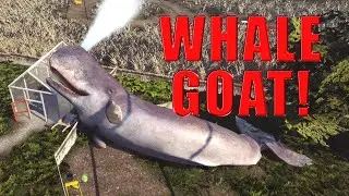 Goat simulator how to get whale