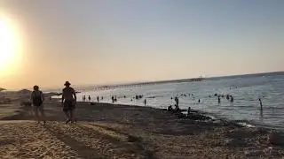 Пляж при отеле Пик Альбатрос Си Ворлд/Albatros Sea World Marsa Alam 5* в Марса Алам. Турагент Оксана
