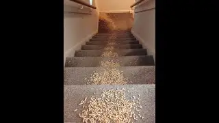 Great Litter Escape