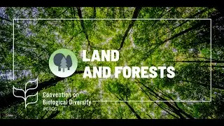 Global Biodiversity Outlook 5: Land and forests transition