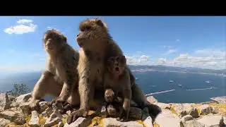 2025-03-27 - Gibraltar Wanderung 