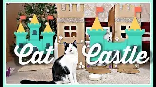 Построихме 🏰 ЗАМЪК 🏰 от КАШОНИ на котето Прасчо!