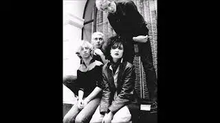 Siouxsie and The Banshees ''Lunar Camel''