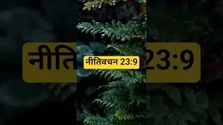 नीतिवचन 23:9 #jesus #motivation #bibleverse #scripture #shortsfeed #trending #new #biblequotes