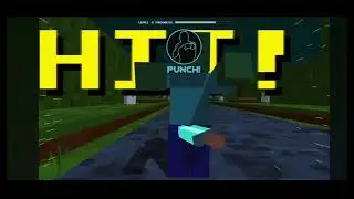Carrera de minecraft