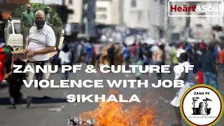 Zanu PF & Culture of violence with Job Sikhala #freetalk #hstvzim