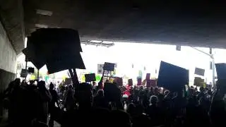 Anti-Israel Protesters chant - 