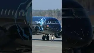 Black and Blue Jet