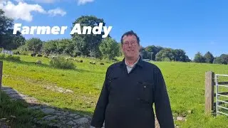 Farmer Andy gets the sheep in.