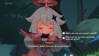 Paimon basically explaining the entire Hu Tao story quest in 19 seconds