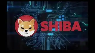 🔥 5 COINS TO EXPLODE NEXT BULLRUN: DOGECHAIN// SHIBA// FLOKI// DOGECOIN// BONE TOKEN?! (50x-100x!) 🚀