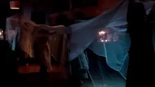 Daemonia Nymphe ‘Zephyros’s Enlightening Anemos’