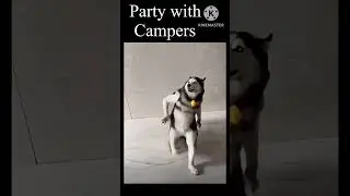 Party || #battleroyale #shorts #callofdutymobile #codm #codmbr #livegaming #livestreaming #games