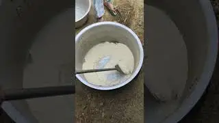 PRASAD..,!!#shorts#sujikahalwa#prasad#bhandara #share#subscribe