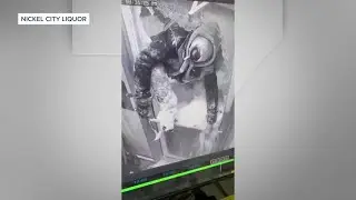 Buffalo police aware of stores broken into during blizzard