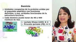 PROTEÍNAS | Dra. Glenny Mirabal | Bioquímica