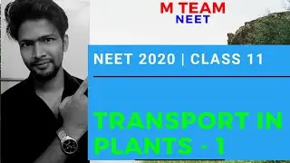 Transport In Plants | 1 transport in plants CLASS 11 BIOLOGY | NEET 2020 .