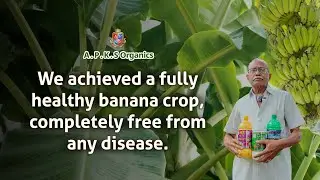 [ ENGLISH ] Salem Banana Farmer Mr. Somasundaram Shares His Amazing Results!