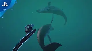 Beyond Blue &mdash; трейлер запуска | PS4