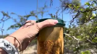 Must See Review of 6 Hole Tube Birdfeeder