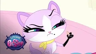 Littlest Pet Shop Season 4 - 'Viral Superstar Pet, Felina Meow' Official Clip
