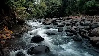 ASMR Deep River Sounds | 16 Minutes of Gentle Water Flow for Sleep & Study
