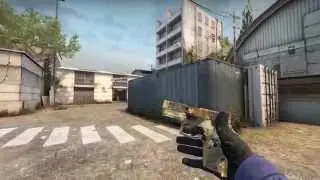 P250 Contamination - Factory New - CS:GO Skin Showcase