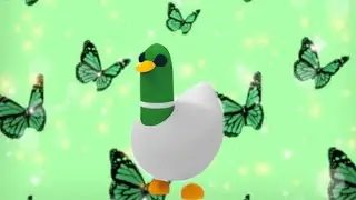 Trying to trade a Neon silly Duck ! (roblox) (adopt me) part 1