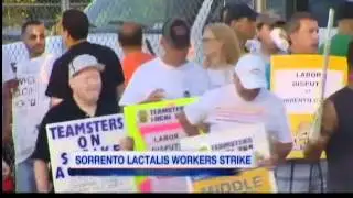 Strike at Sorrento Cheese
