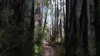 Conspicuo Sendero