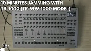 Roland TR-1000 &mdash; 10 минут, чтобы сказать, что это лучшая драм-машина?