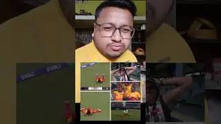 Zimbabwe Inch Closer to a Historic Win 💥🔥 | What a Catch! #shorts