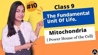 Mitochondria - Power House Of Cell , Class 9 | The Fundamental  Unit Of  Life | by Ananya Mishra.