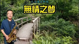 無情之夢(無情の夢)-朝陽薩克斯風