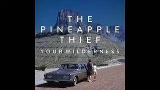 The Pineapple Thief -  Your Wilderness