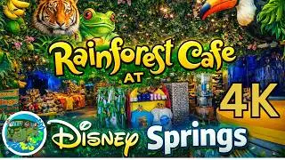 Rainforest Cafe Full Walkthrough | Disney Springs Gift Shop And Restaurant | Walt Disney World