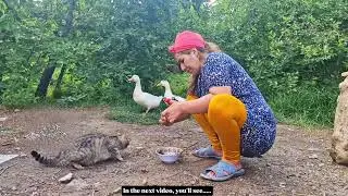 Rural life in eastern Iran: Daily life of a rural woman and amazing food in rural life