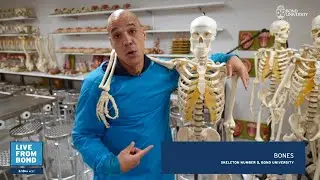 A day in the life of a medical professional | Behind the scenes of Health Experience Day