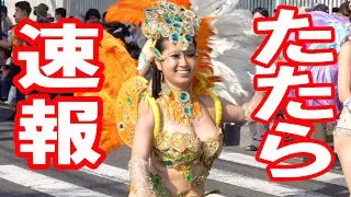 【速報】ウニアンinたたら祭り2025!!華やかなダンサーさん勢ぞろいウニアンサンバパレード この勢いで浅草サンバへ!!