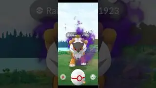 Shadow Raikou Raid Day was a success!!! #pokemongo #shadowshiny #raidday #shadowraikou