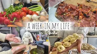 Sub) Silent Vlog | Homemade Pizza 🍕 Crochet Bunny, Frozen Meals Prep, Should I Stop My YT Channel?