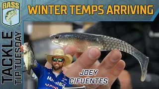 Winter temperatures arrive, shallow fish still catchable