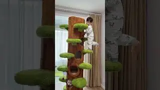 Luxury Cat Tree Looks Like Tree Tall Climbing Frame🎄#cattree  #catfurniture #cute